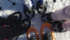 Raquettes en sneeuwschoenen.